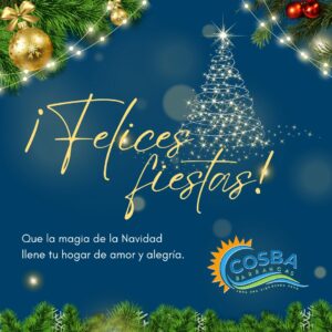 WhatsApp-Image-2024-12-27-at-08.10.22-300x300 Felices Fiestas